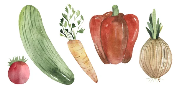 Set di verdure fresche carta bianca carta bianca — Foto Stock