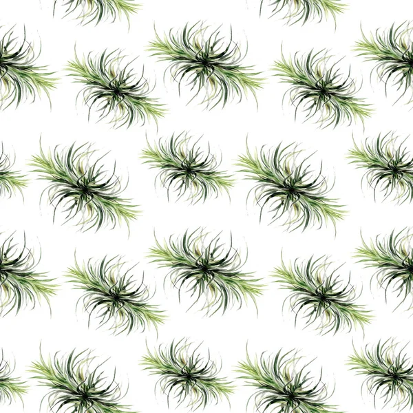 Aquarelle feuilles de palmier tropical motif sans couture. illustration. branche, tendance, textile, forêt, tissu, banane, blanc, emballage, forêt tropicale — Photo