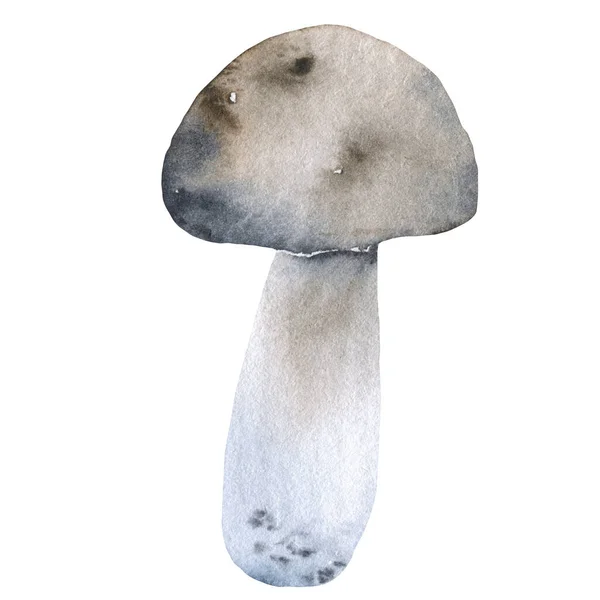 Acquerello di funghi. Modello di menu cornice rotonda — Foto Stock