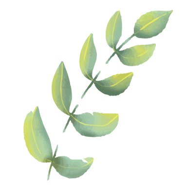  Çiçek seti. Yaprakları ve çiçekleri olan renkli çiçek koleksiyonu, suluboya çizimi. Davetiye, düğün ya da tebrik kartları için bahar ya da yaz tasarımı