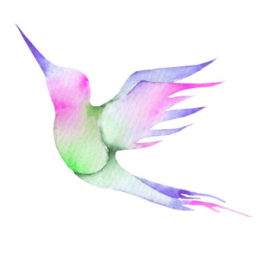 Sinek kuşu, suluboya resim. çok renkli gradyan: sarı, pembe mavi mor yeşil