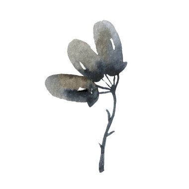  Meşe yaprağı ve meşe palamudu çizimi.