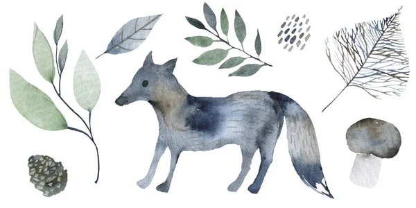 Carino Foxy Con Elementi Floreali Della Foresta Collezione Acquerello Sfondo — Foto Stock