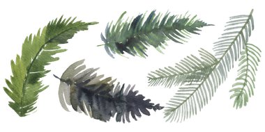 Noel ağacı dalları ve kozalaklı çam ağaçları. El çizimi. İşleme biçiminde nesneler.