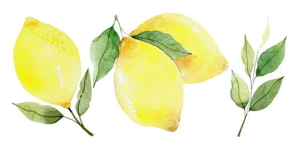 Φρέσκα φρούτα λεμονιού, εικονογραφήσεις συλλογή στεφάνι λεμόνι Γεια σας καλοκαίρι — Φωτογραφία Αρχείου