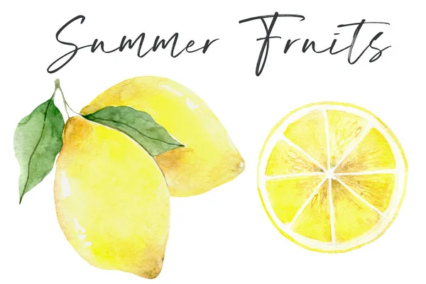 Citron. Färska citronfrukter, samling av illustrationer — Stockfoto