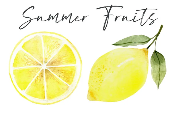 Лимон. Свежие лимонные фрукты, коллекция иллюстраций — стоковое фото