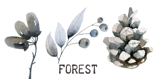 Floral απρόσκοπτη μοτίβο με χαριτωμένα ζώα δάσος: σκίουρος, αλεπού, σκαντζόχοιρος. Δασικά φυτά, φύλλα, μανιτάρια, μούρα και ζώα σε λευκό φόντο. — Φωτογραφία Αρχείου