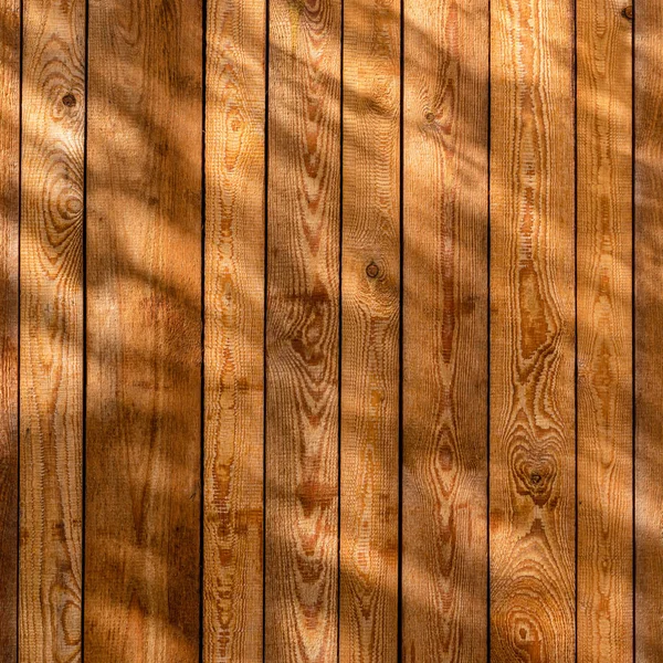 树梢半阴影下的木板墙 质感背景 — 图库照片