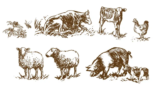 Jeu Animaux Ferme Illustrations Dessinées Main Vecteur — Image vectorielle