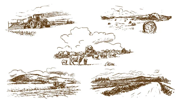 tarımsal kırsal alan, elde çizilmiş çizimler (vektör))