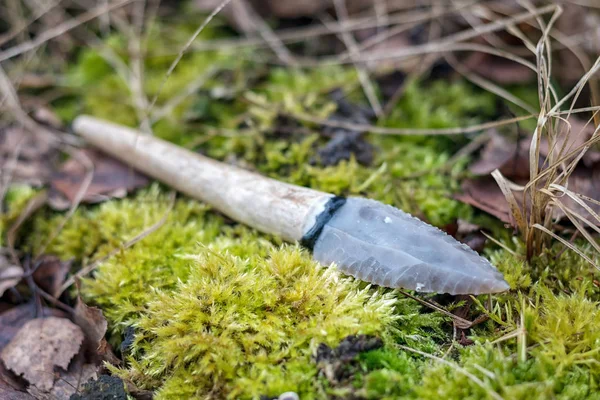 Flintkniv Stenåldersverktyg Blad Hjorthorn Mossa — Stockfoto