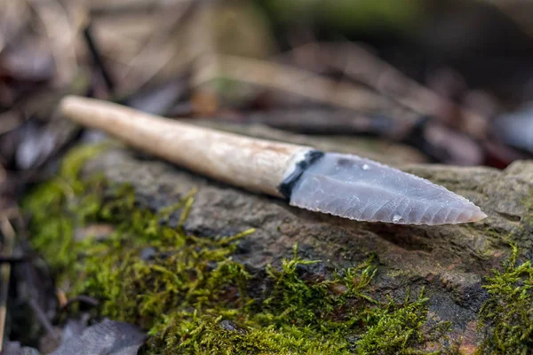 Flintkniv Stenåldersverktyg Blad Hjorthorn Naturen — Stockfoto