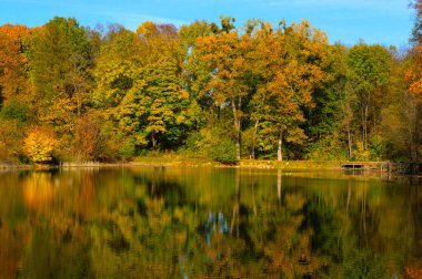 Sonbahar manzaralı göl kıyısı suya yansıyor.