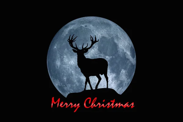 Silhouette of a Christmas deer on a background of the full moon.