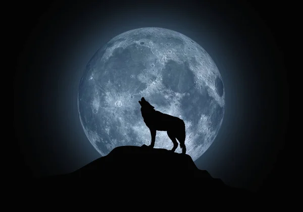 wolf and moon backgrounds