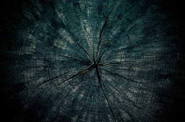 Yıllık halkalarla kesilen yuvarlak testere ağacı