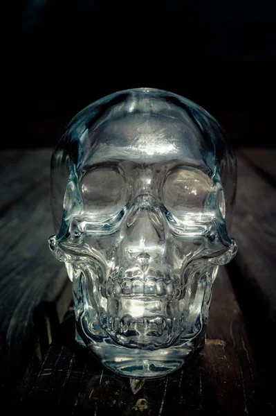 Transparent glass skull with reflections