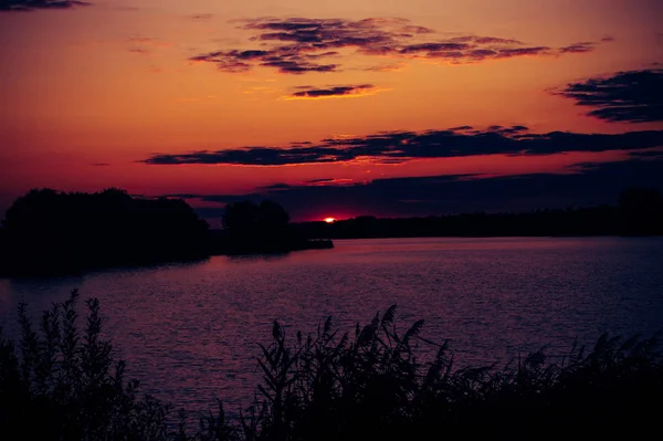 Belo pôr-do-sol rosa com raios de sol — Fotografia de Stock