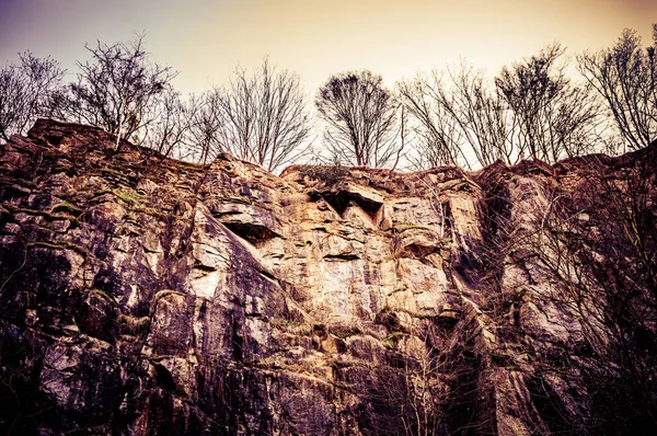 Cliff Trees Top Sky Close — Stock Photo, Image