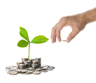 El ve bozuk para ekleme 