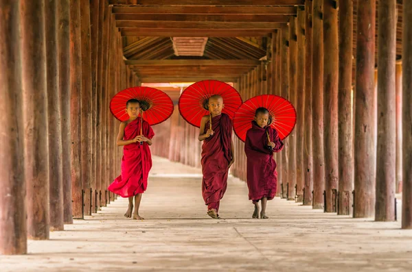 Three Buddhist novices — Stock Photo, Image