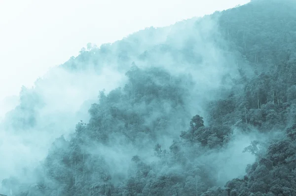 Niebla cubriendo montaña — Foto de Stock