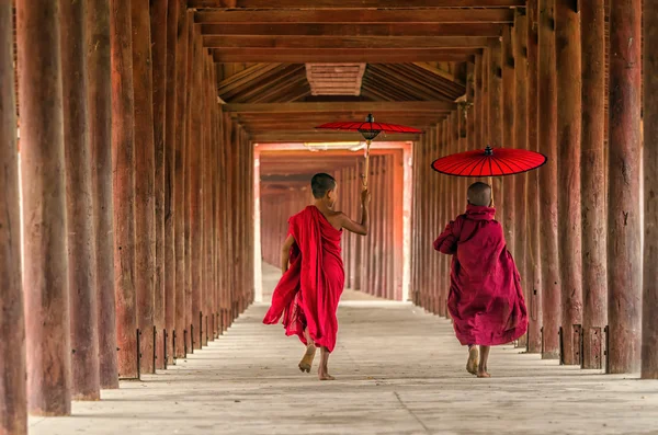Two young monk — Stock fotografie