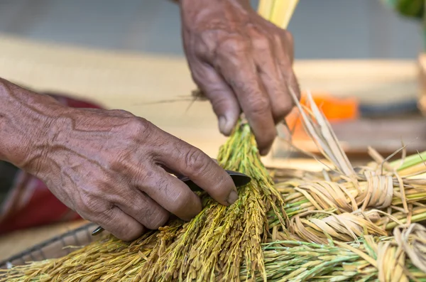 Shredded rice grain — Stock Photo, Image