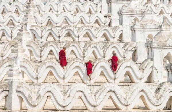 Three young monk — Stockfoto