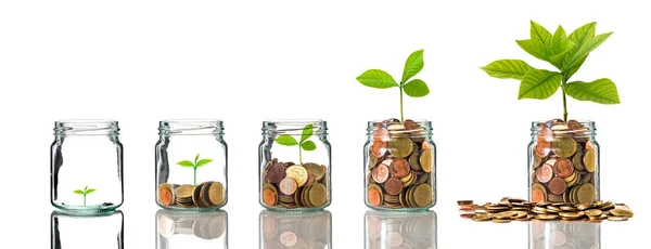 Gold coins and seed in clear bottle — Stock Photo, Image