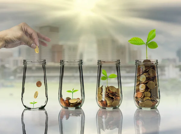 Hand putting Gold coins and seed — Stock Photo, Image