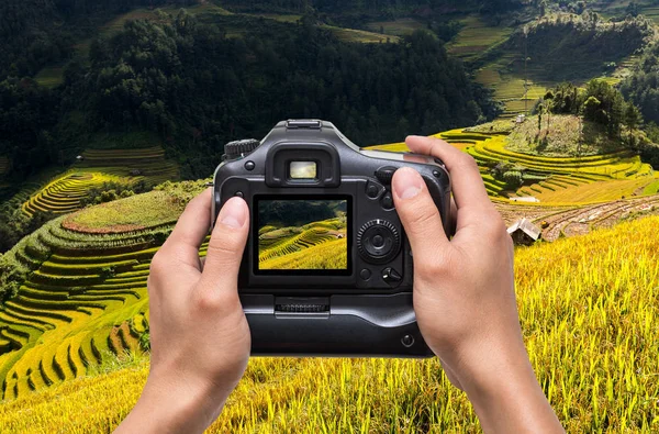 Mani che tengono la macchina fotografica — Foto Stock