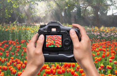 Kamerayı tutan eller 