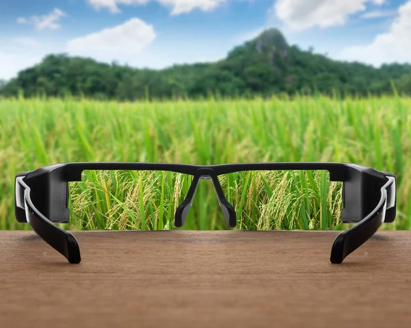 Champ de riz concentré dans des verres lentilles — Photo