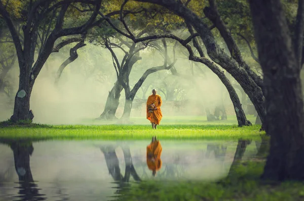 Monk hike in deep forest — Stock Photo, Image