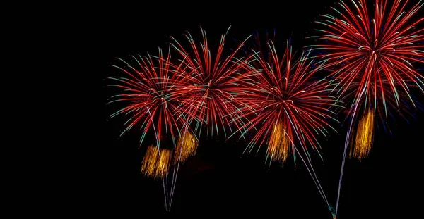 Vícebarevná ohňostroj oslava — Stock fotografie