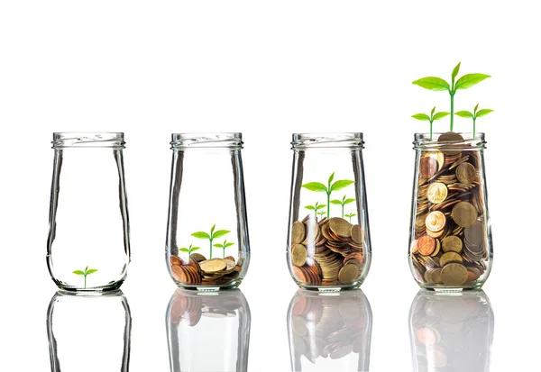 Gold coins and seed in clear bottle — Stock Photo, Image