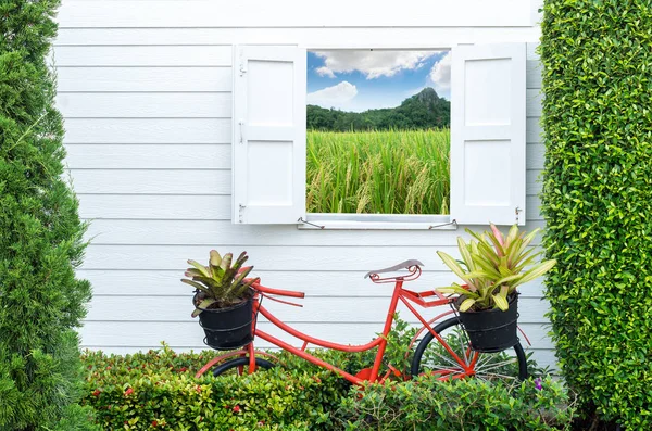 Decore jardinagem com bicicleta — Fotografia de Stock