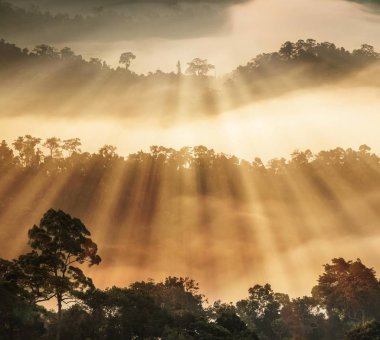  Krachan Kaeng Milli Parkı, Tayland