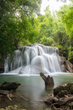 Derin ormanın içinde güzel şelale,