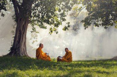İki keşiş meditasyon ağaçların altında 