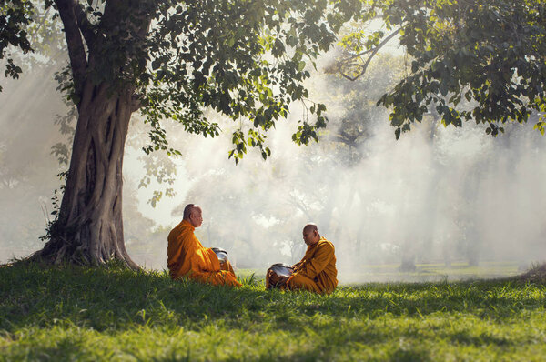 Two monks meditation under the trees 