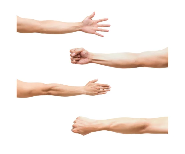 Conjunto de quatro braços — Fotografia de Stock