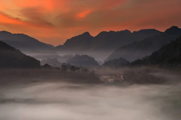 茶畑で霧の山脈 — ストック写真