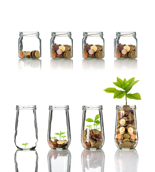 Gold coins and seeds in bottles — Stock Photo, Image