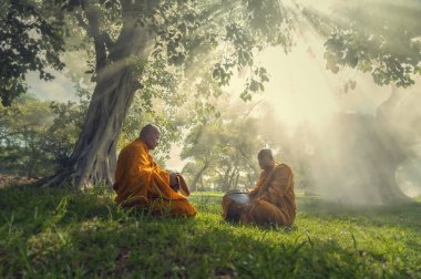 İki keşiş ağaçların altında meditasyon 