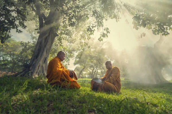 Två munkar mediterar under träd — Stockfoto