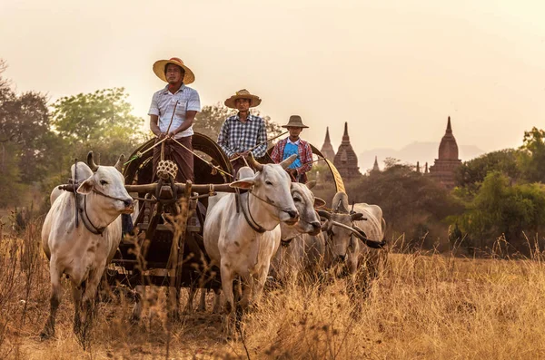 Burmese rural transportation — Stock Photo, Image