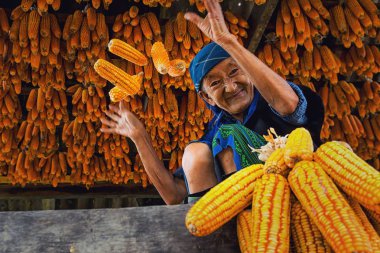 Tanımsız Vietnamca Hmong yaşlı kadın 